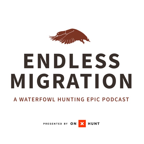 Endless Migration