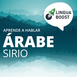 Lección 16: ¿Qué hiciste hoy?