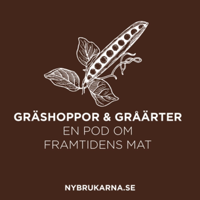Nybrukarna podcast