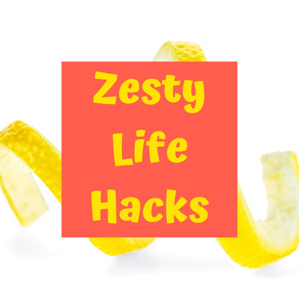 Zesty Life Hacks Artwork