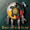 Bands of Turtle Island artwork