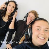 Träning och annat snack podcast