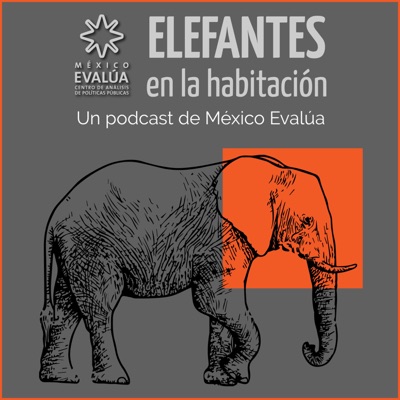 Elefantes en la habitación Elefantes en la habitación