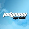 Polyneux - Wir lieben Videospiele... meistens artwork