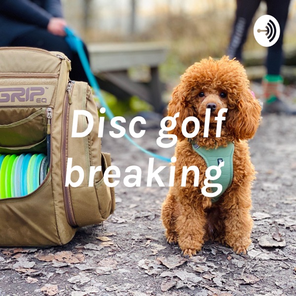 Disc golf breaking Artwork