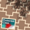 Protected Class artwork