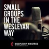 Small Groups in the Wesleyan Way artwork
