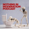 Nothing In Moderation artwork