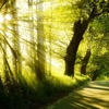 Nature calm music, sounds. Relaxation, background music