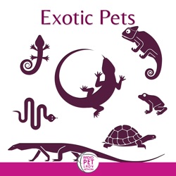 Exotic Pets #202 (10-6-2014)