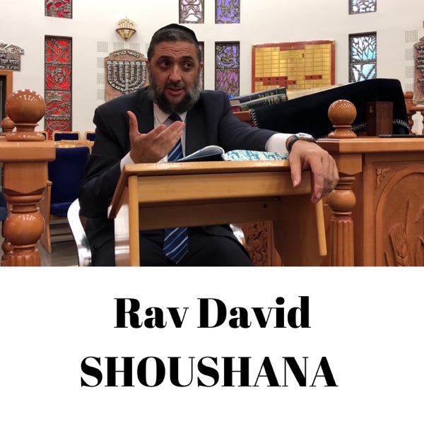 Rav David SHOUSHANA