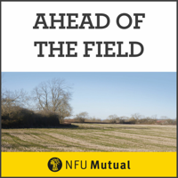 Ahead Of The Field podcast