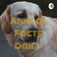 Animal Facts Daily 