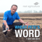 Wheat Pete's Word