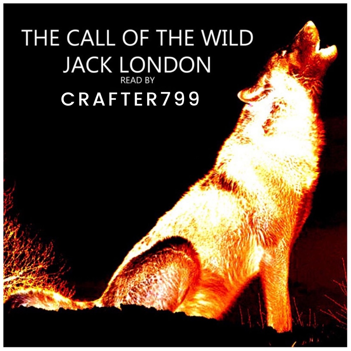 the-call-of-the-wild-podcast-podtail