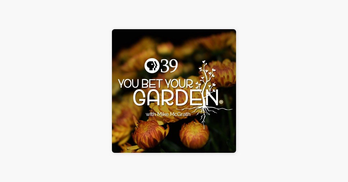 You Bet Your Garden On Apple Podcasts