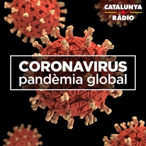 �lex Arenas analitza els errors de l'Estat en la gesti� de la Covid-19