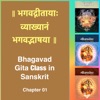 Bhagavad Gita Class (Ch1) in Sanskrit by Dr. K.N. Padmakumar (Samskrita Bharati) artwork