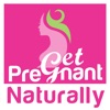 Get Pregnant Naturally artwork