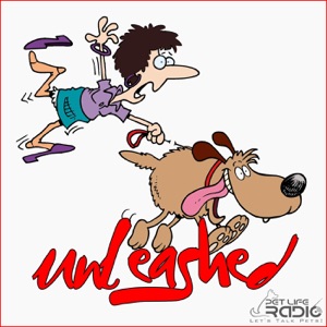Unleashed - Episode 31 Pet First Pet Insurance