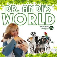 Dr. Andi's World podcast