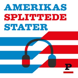 Amerikas splittede stater