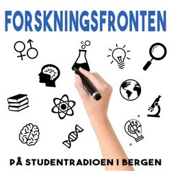 Forskningsfronten