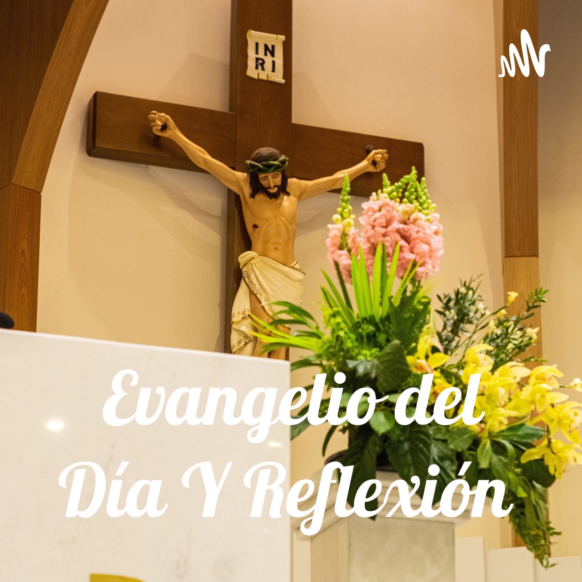 Evangelio del Día Y Reflexión Podcast Colombia