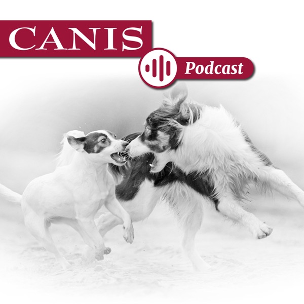 Der CANIS-Podcast – Hundeexpert:innen ausgefragt