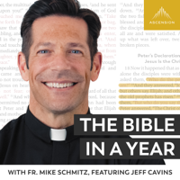 《一年圣经》(与Fr. Mike Schmitz合作)的缩略图