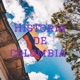 Historia de colombia 