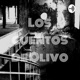 Los cuentos de Olivo