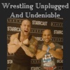 Unplugged Pro Wrestling artwork
