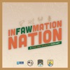 InFAWmation Nation artwork