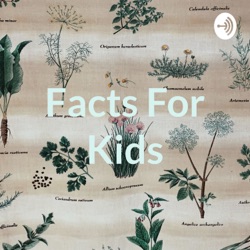 Facts For Kids