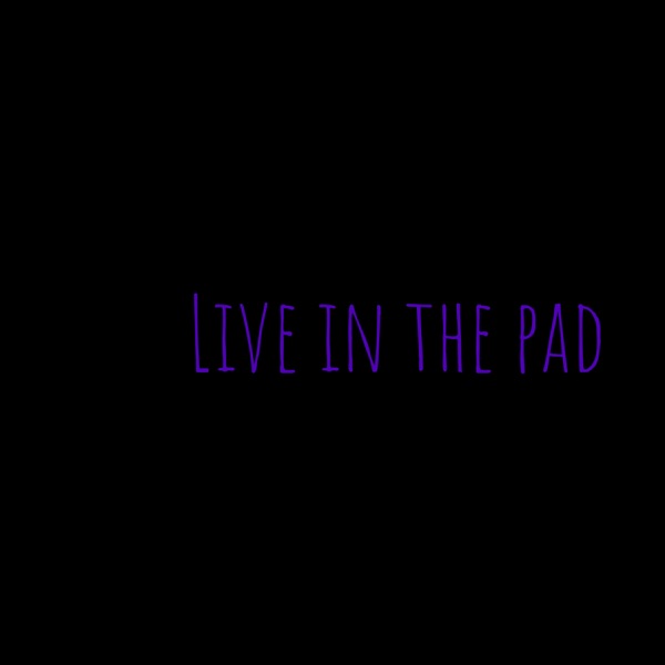 Live in the pad Artwork