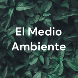 El Medio Ambiente