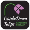 Upside Down Tulips - A Garden Podcast artwork