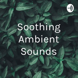 15 Minutes of Morning Park Ambience - Ambient Sounds