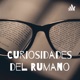 Curiosidades del Rumano