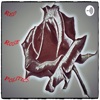 Red Rose Politics artwork