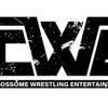 Crossome Wrestling Entertainment artwork