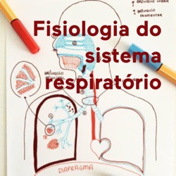 As funções do sistema respiratório