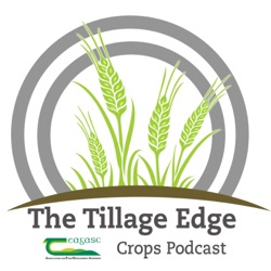 Looking back on the tillage year & the learnings from it