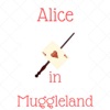 Alice in Muggleland artwork