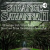 Strange Savannah  artwork