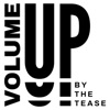 Volume Up by The Tease artwork