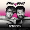 Are og Odin
