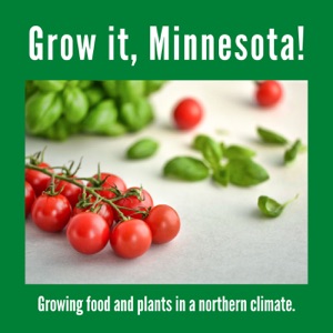 Growing a Kitchen Garden with Rhonda Hayes