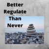 Better Regulate Than Never artwork